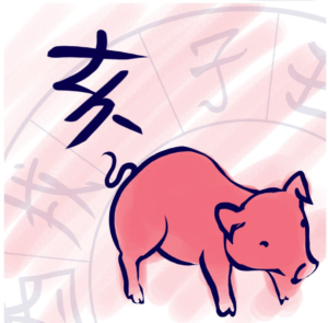 pig